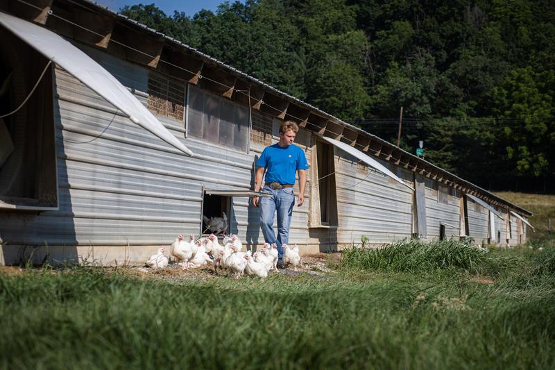 Peyton & Ally - Farmer Focus